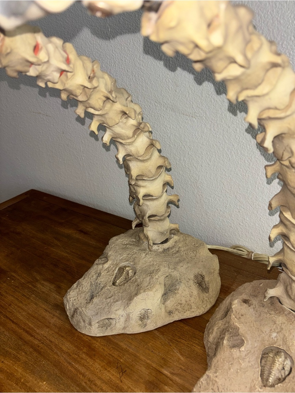 Lampasaurus Dinosaur Skull Skeleton Ceramic Desk Lamps Light by Salton/Stiffel - Picture 7 of 11